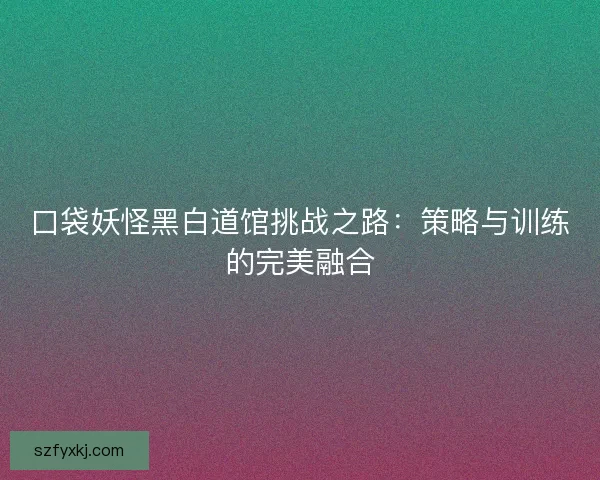 口袋妖怪黑白道馆挑战之路：策略与训练的完美融合
