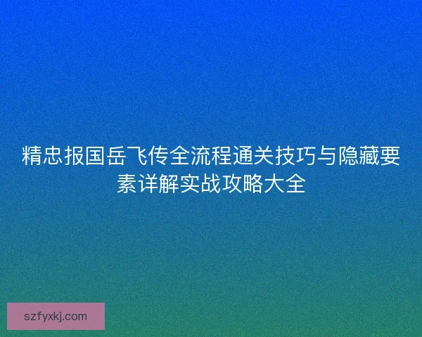 精忠报国岳飞传全流程通关技巧与隐藏要素详解实战攻略大全