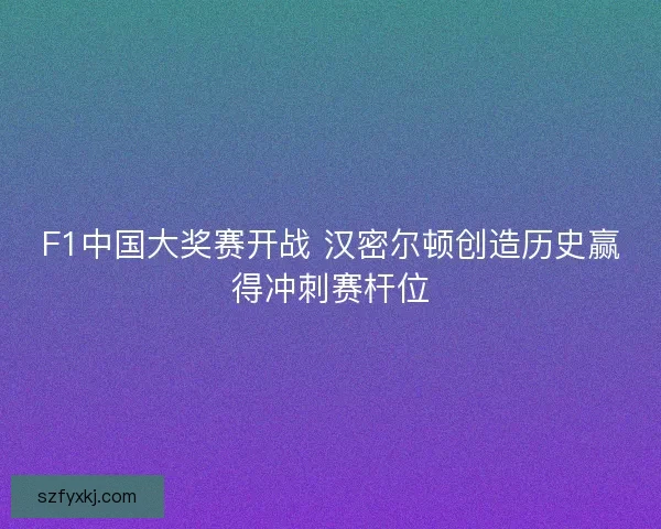 F1中国大奖赛开战 汉密尔顿创造历史赢得冲刺赛杆位