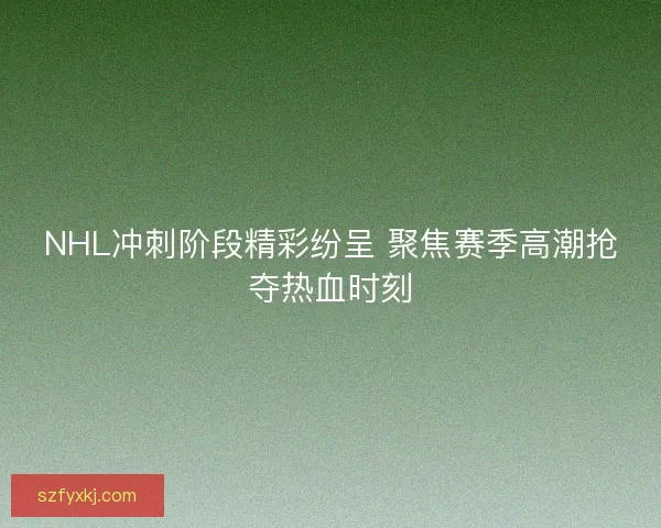 NHL冲刺阶段精彩纷呈 聚焦赛季高潮抢夺热血时刻