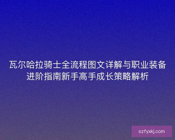 瓦尔哈拉骑士全流程图文详解与职业装备进阶指南新手高手成长策略解析
