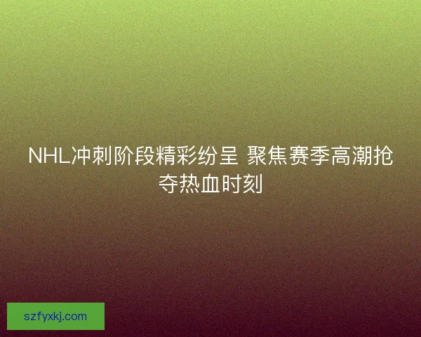 NHL冲刺阶段精彩纷呈 聚焦赛季高潮抢夺热血时刻